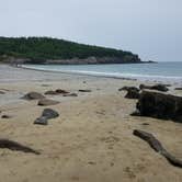 Review photo of Blackwoods Campground — Acadia National Park by Christy C., July 17, 2017