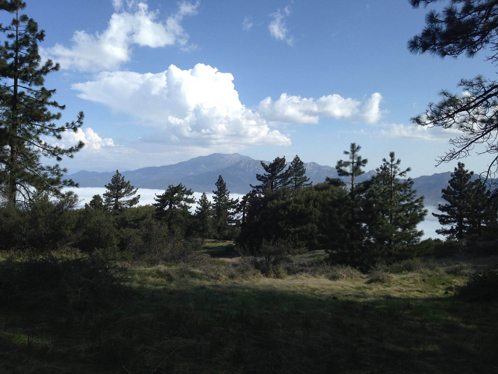 Hesperia - Photo 3