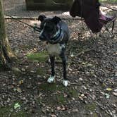 Review photo of Gee Creek Campground — Hiwassee/Ocoee Scenic River State Park by Brittany S., June 27, 2016