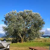Review photo of Tillamook Coast RV Park by Aria R., July 17, 2017