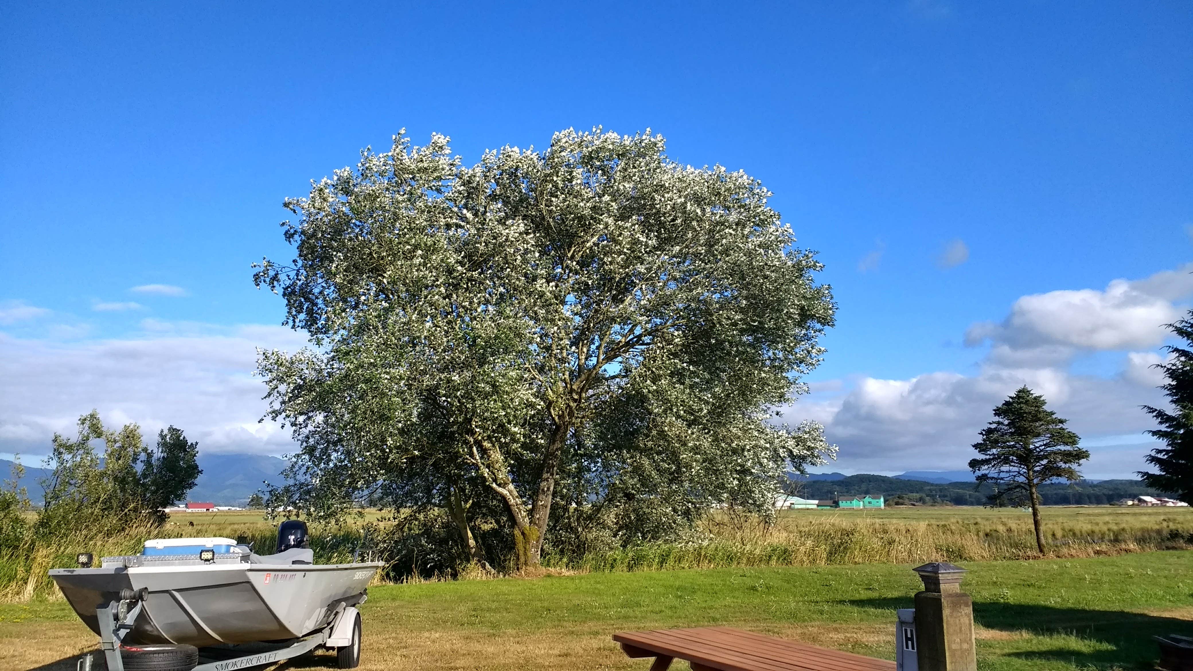 Camper submitted image from Tillamook Coast RV Park - 3
