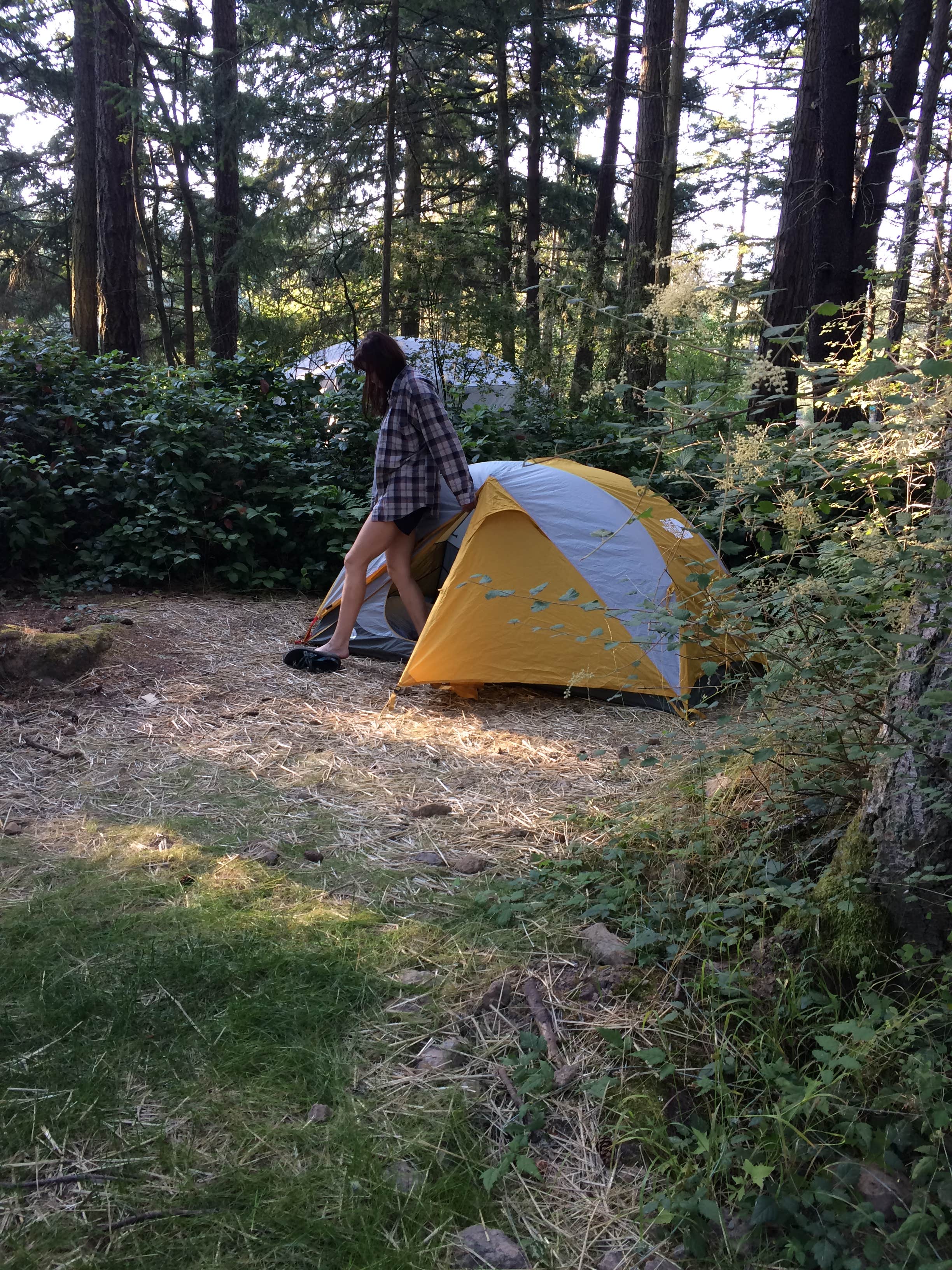 Camper submitted image from Lakedale Resort - 2