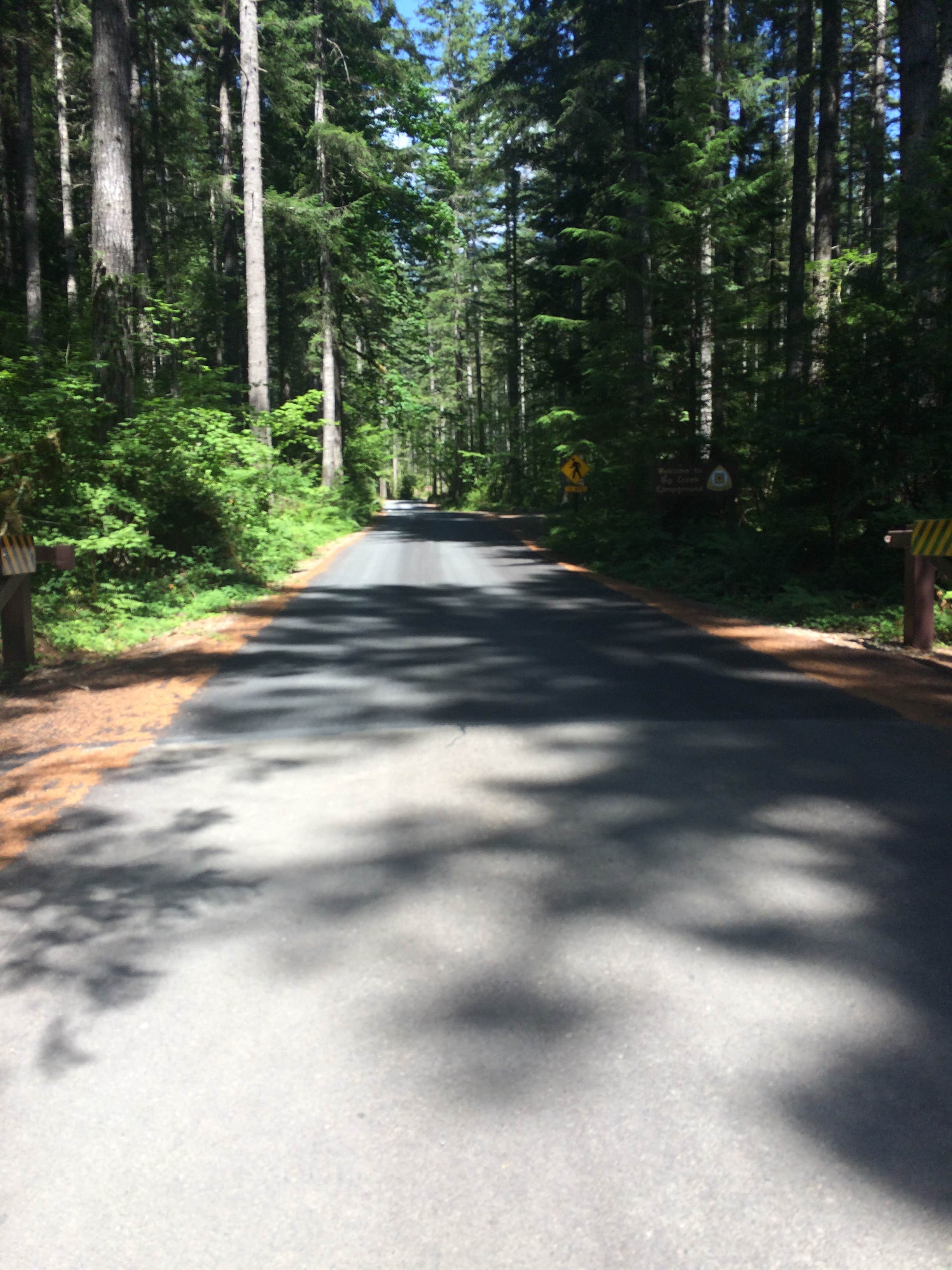 Camper submitted image from Big Creek Campground - 3