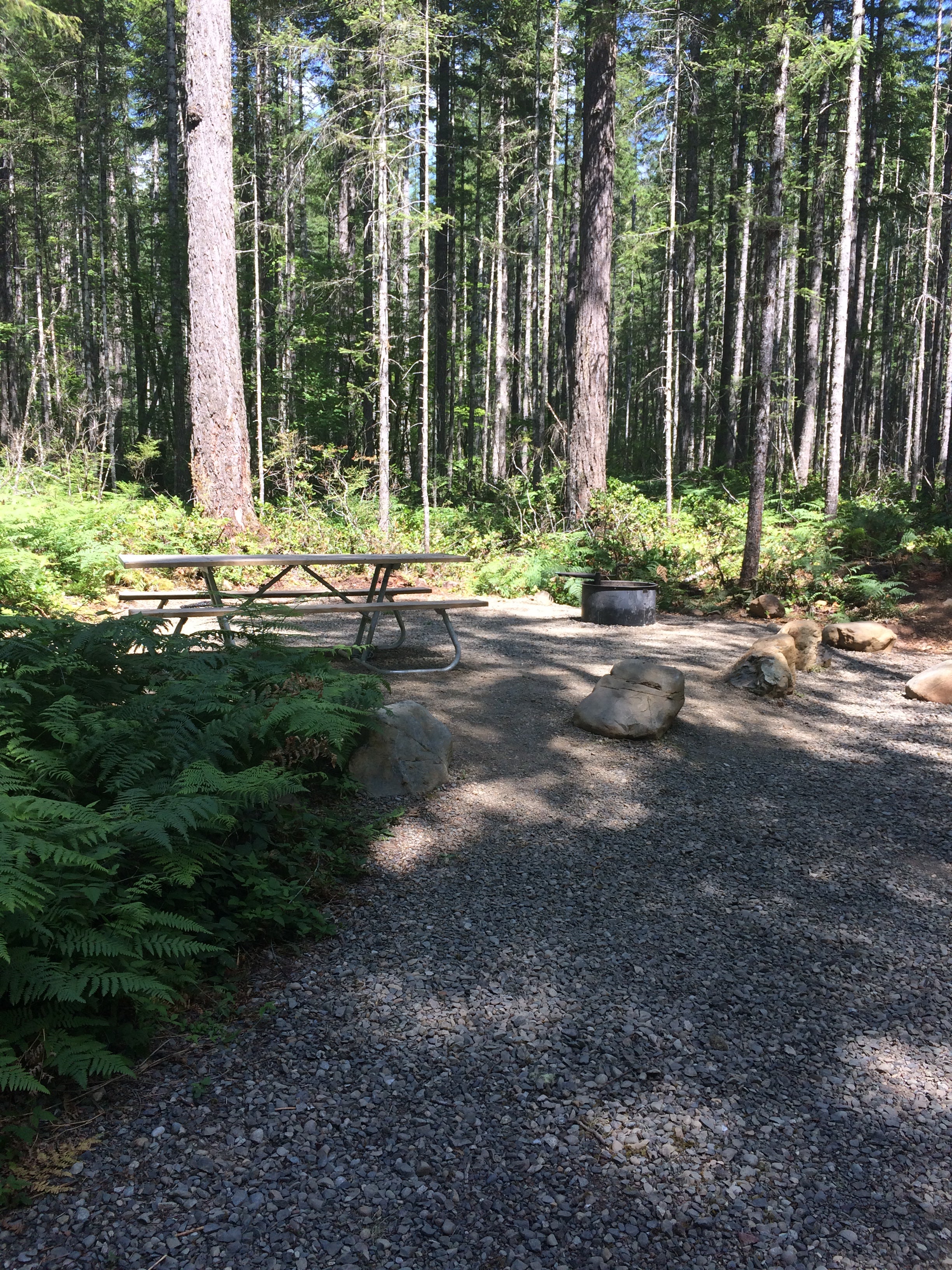 Camper submitted image from Big Creek Campground - 2