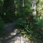 Review photo of Big Creek Campground by Isabelle K., July 17, 2017