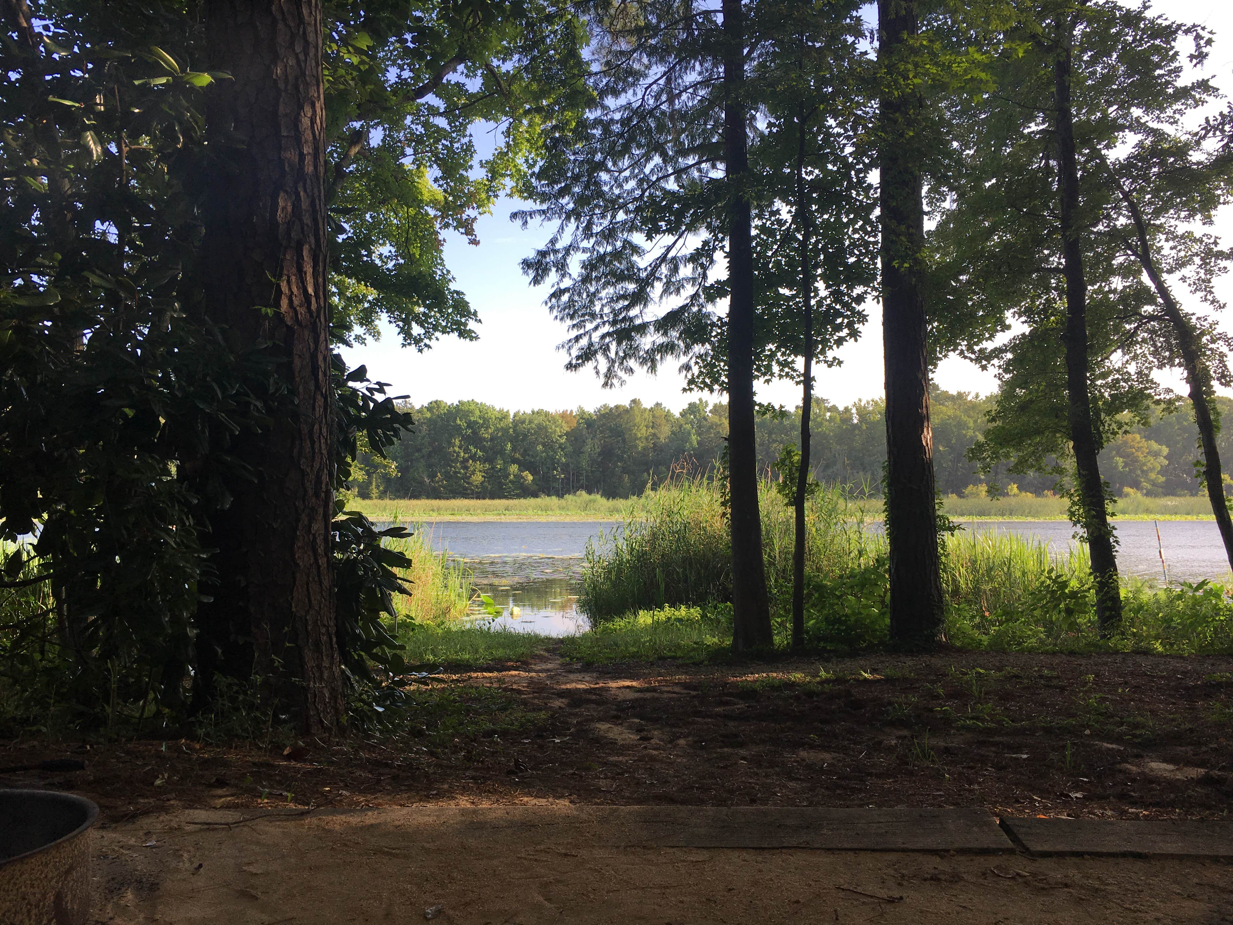 Camper submitted image from Three Rivers State Park Campground - 5