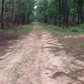 Review photo of Ratcliff Lake Recreation Area by jasmine L., July 17, 2017