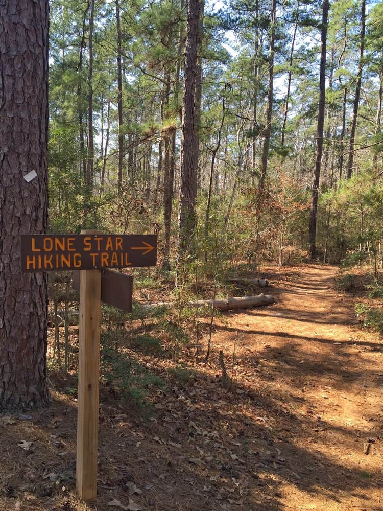 Camper submitted image from Ratcliff Lake Recreation Area - 3
