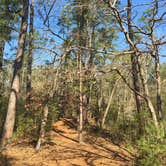 Review photo of Ratcliff Lake Recreation Area by jasmine L., July 17, 2017