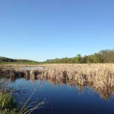 Review photo of William O'Brien State Park Campground by Steph H., July 17, 2017