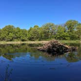 Review photo of William O'Brien State Park Campground by Steph H., July 17, 2017
