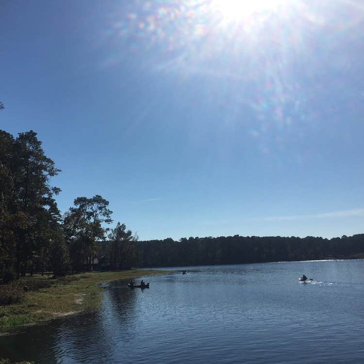 Huntsville State Park Camping The Dyrt