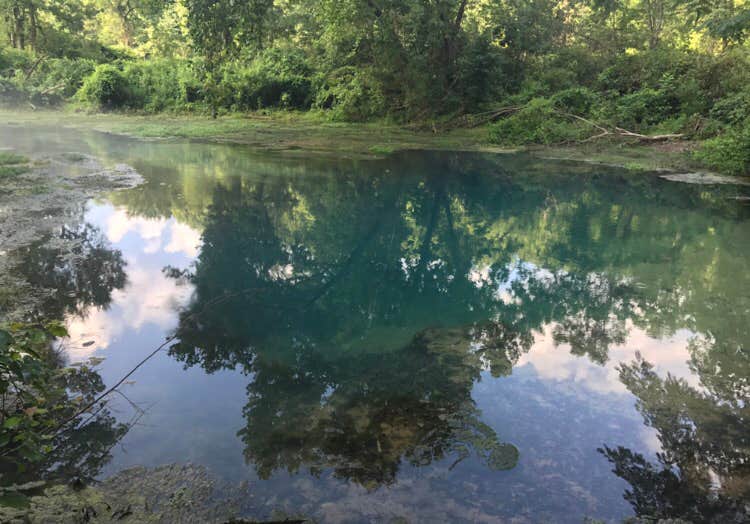 Camper submitted image from Boze Mill Float Camp - 2