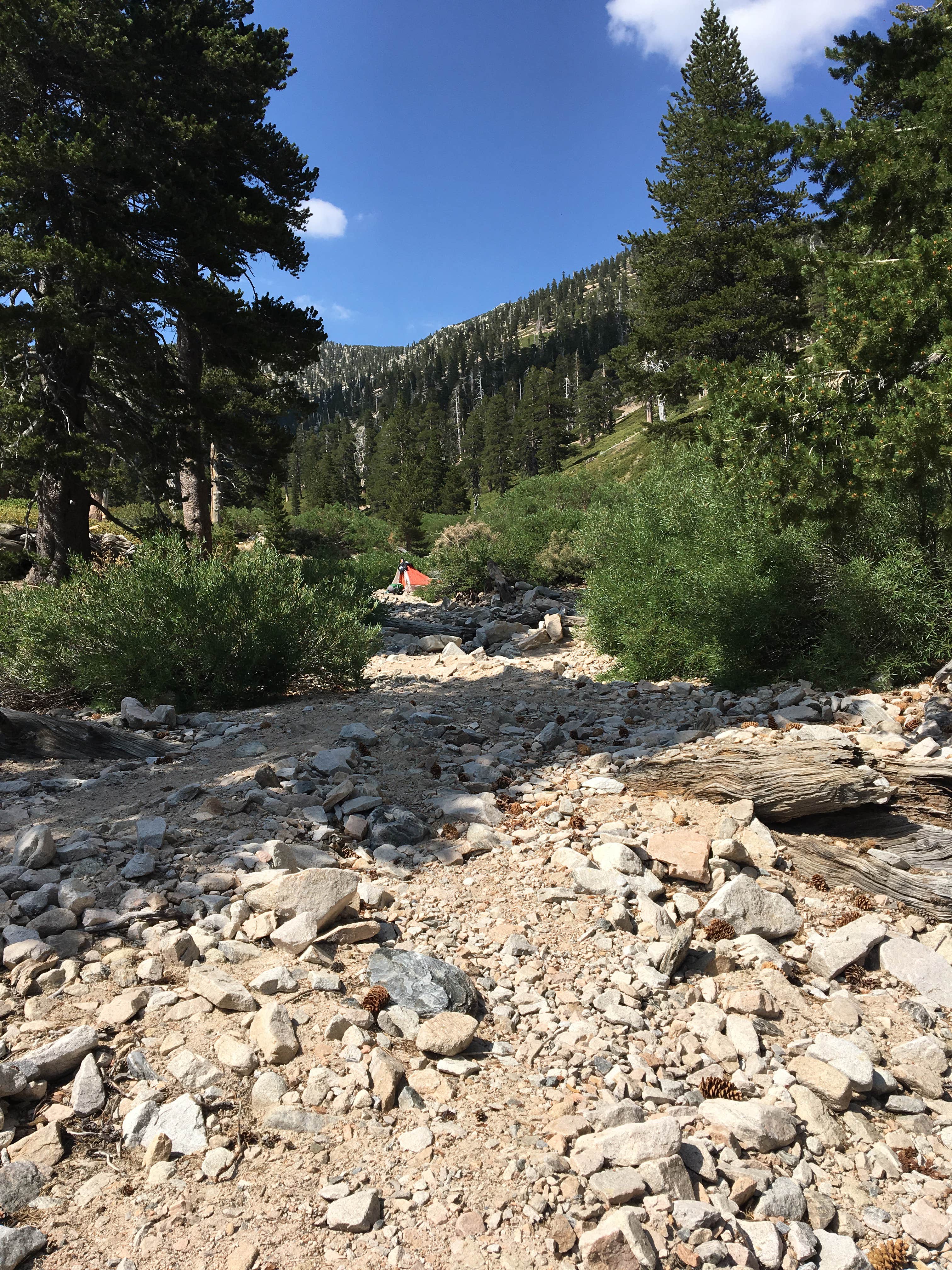 Camper submitted image from High Creek Camp - San Gorgonio Wilderness - 3