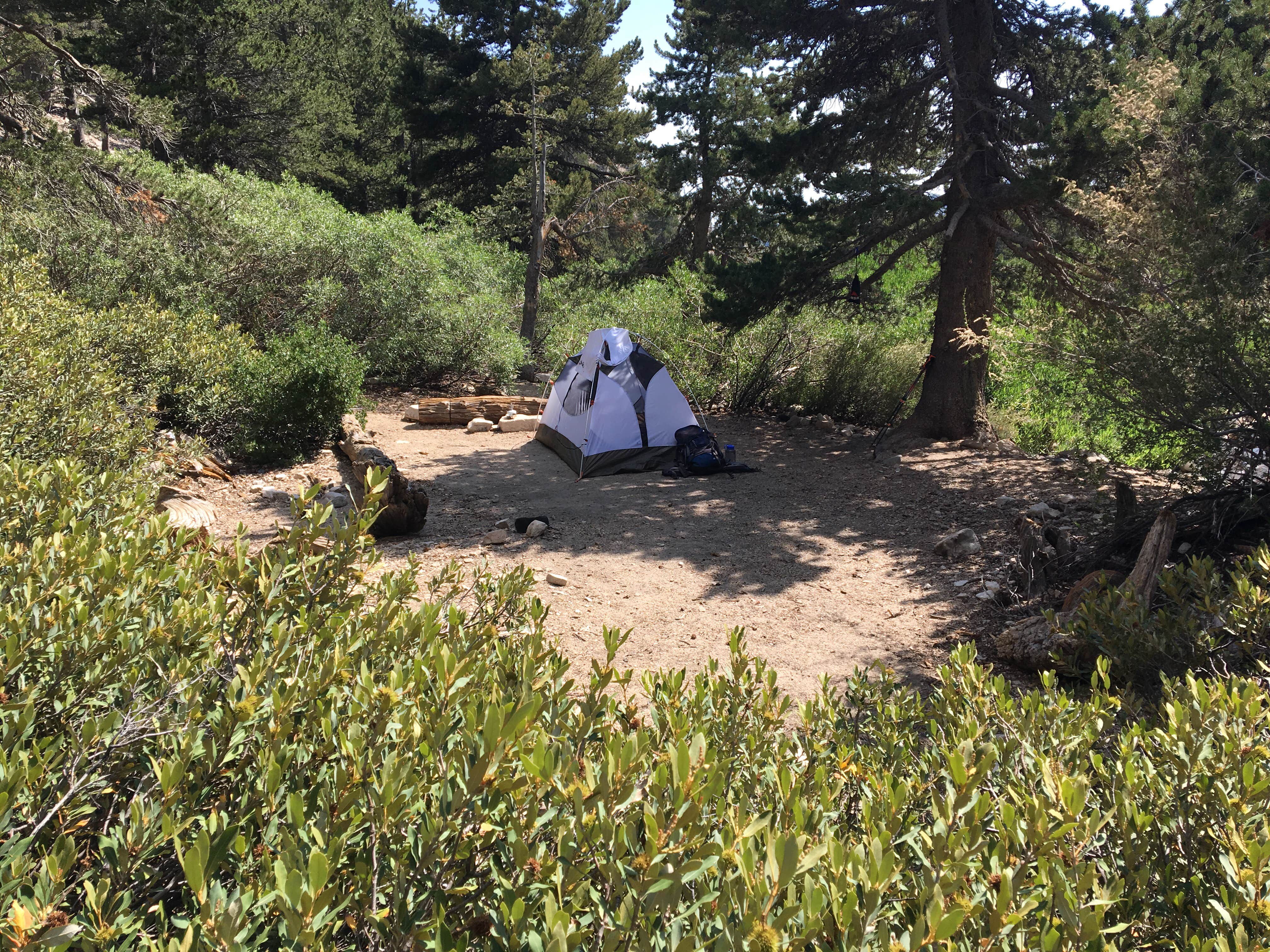 High creek deals camp san gorgonio