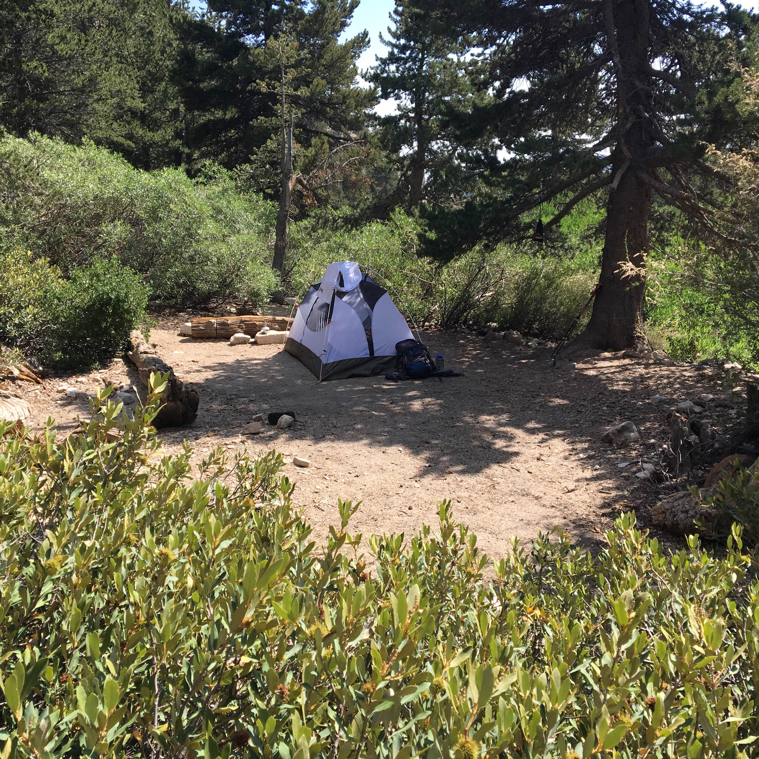 High Creek Camp San Wilderness Camping The Dyrt