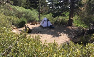 Brittany N.'s photo of a dispersed camping area at High Creek Camp - San Gorgonio Wilderness near Pioneertown, CA