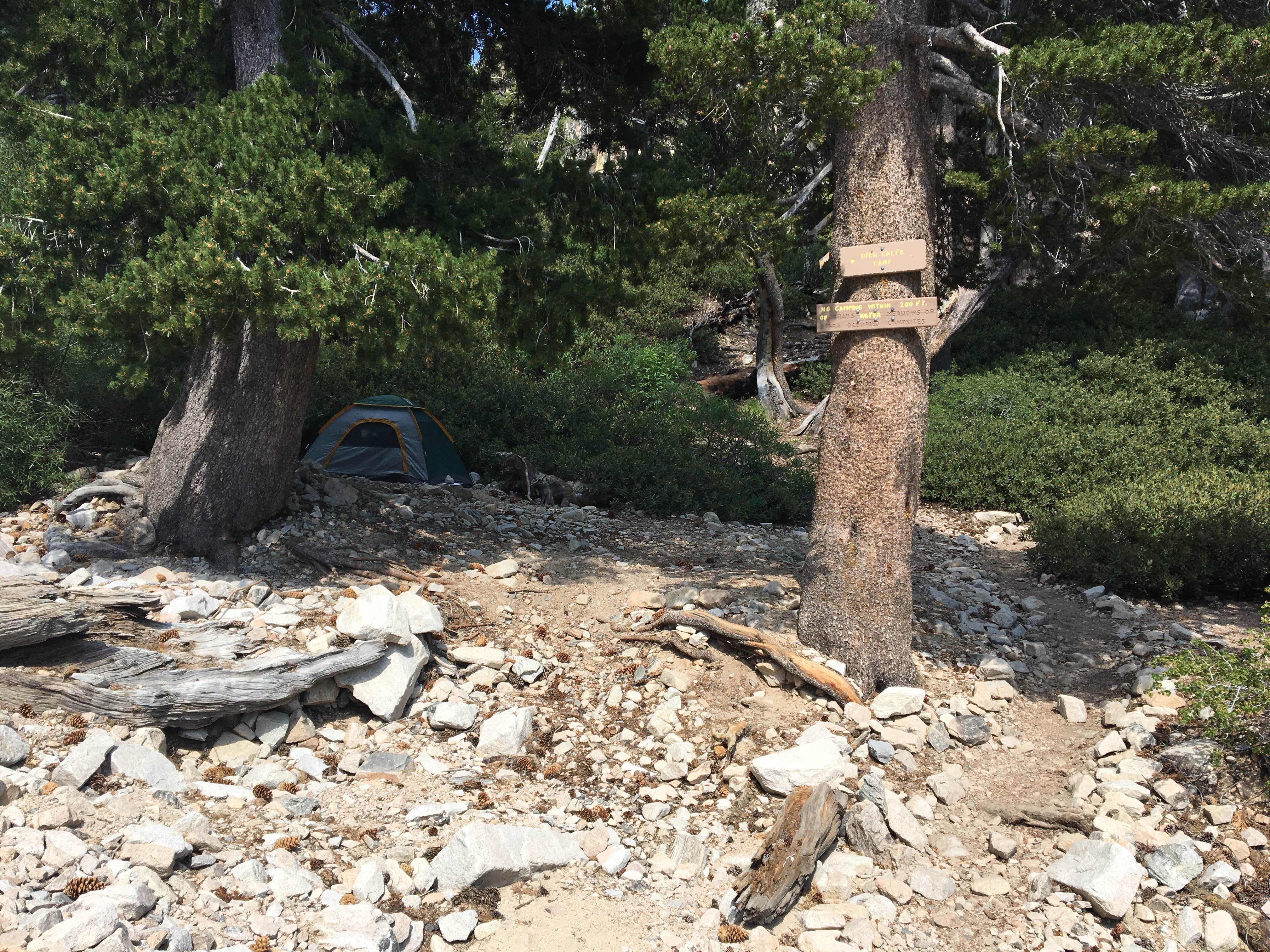 High Creek Camp San Gorgonio Wilderness Camping Forest Falls