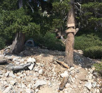Camper-submitted photo from High Creek Camp - San Gorgonio Wilderness