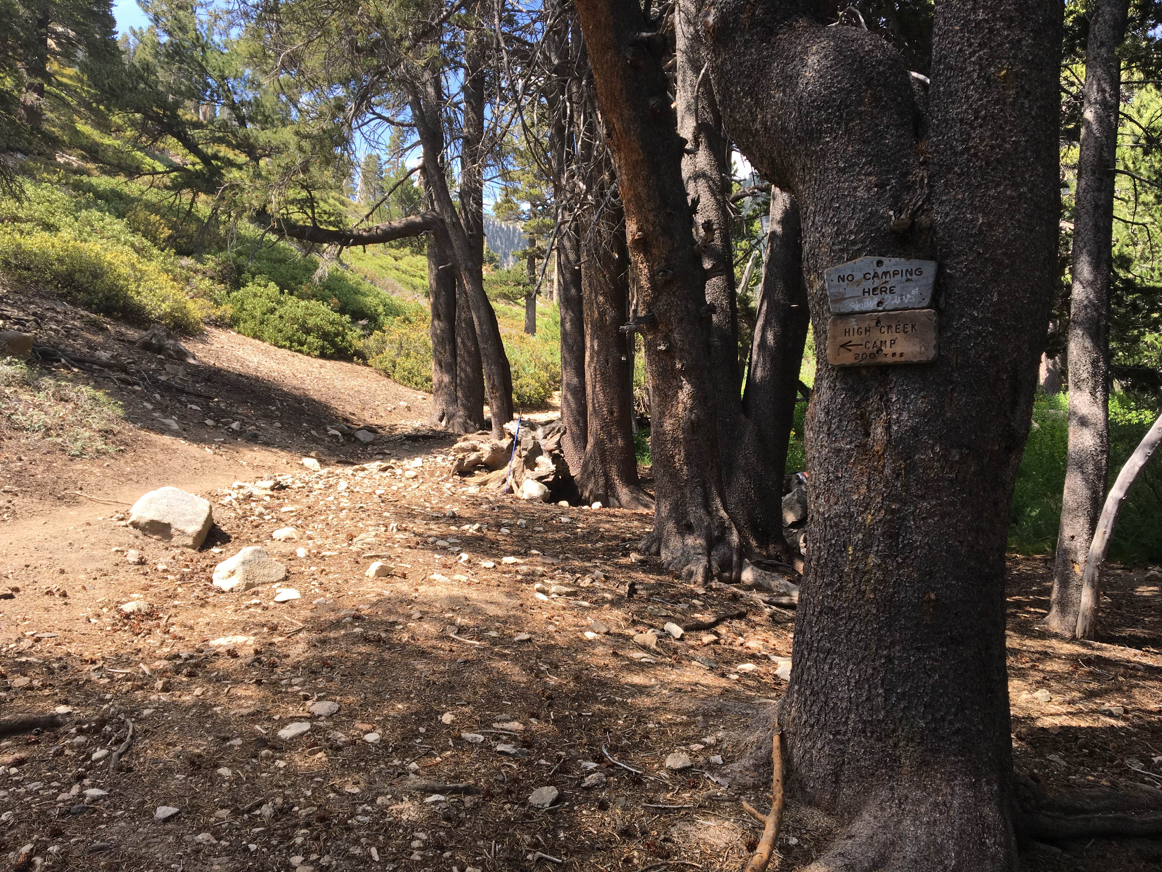 High creek shop camp san gorgonio