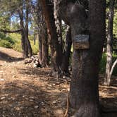Review photo of High Creek Camp - San Gorgonio Wilderness by Brittany N., July 18, 2017