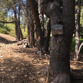 Review photo of High Creek Camp - San Gorgonio Wilderness by Brittany N., July 18, 2017