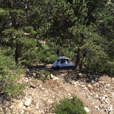 Review photo of High Creek Camp - San Gorgonio Wilderness by Brittany N., July 18, 2017