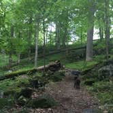 Review photo of Mammoth Cave Campground — Mammoth Cave National Park by Shelly S., June 27, 2016