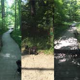 Review photo of Lake Lincoln Campground — Lincoln State Park by Shelly S., July 18, 2017