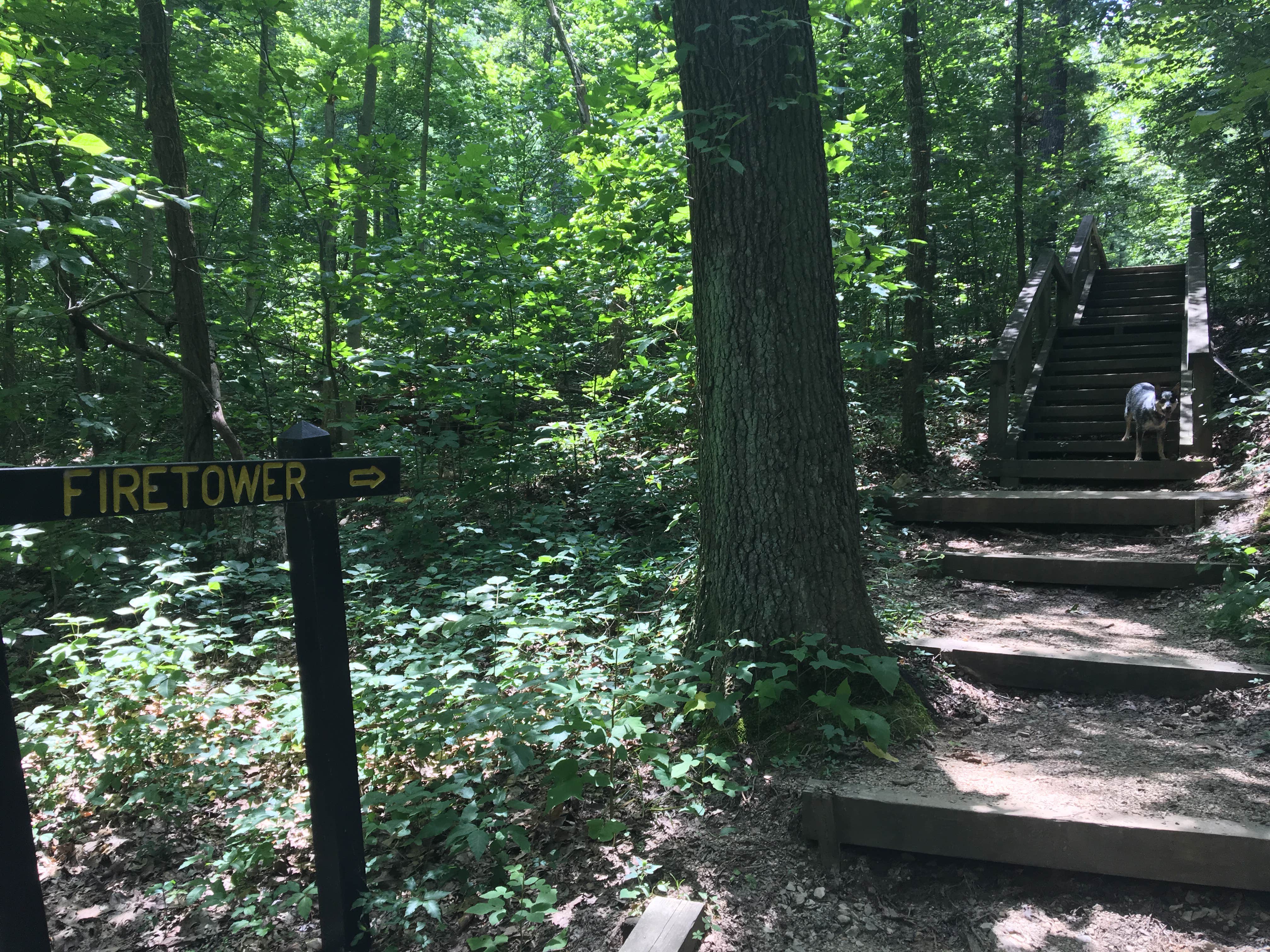 Camper-submitted photo at Lake Lincoln Campground — Lincoln State Park near Winslow, IN