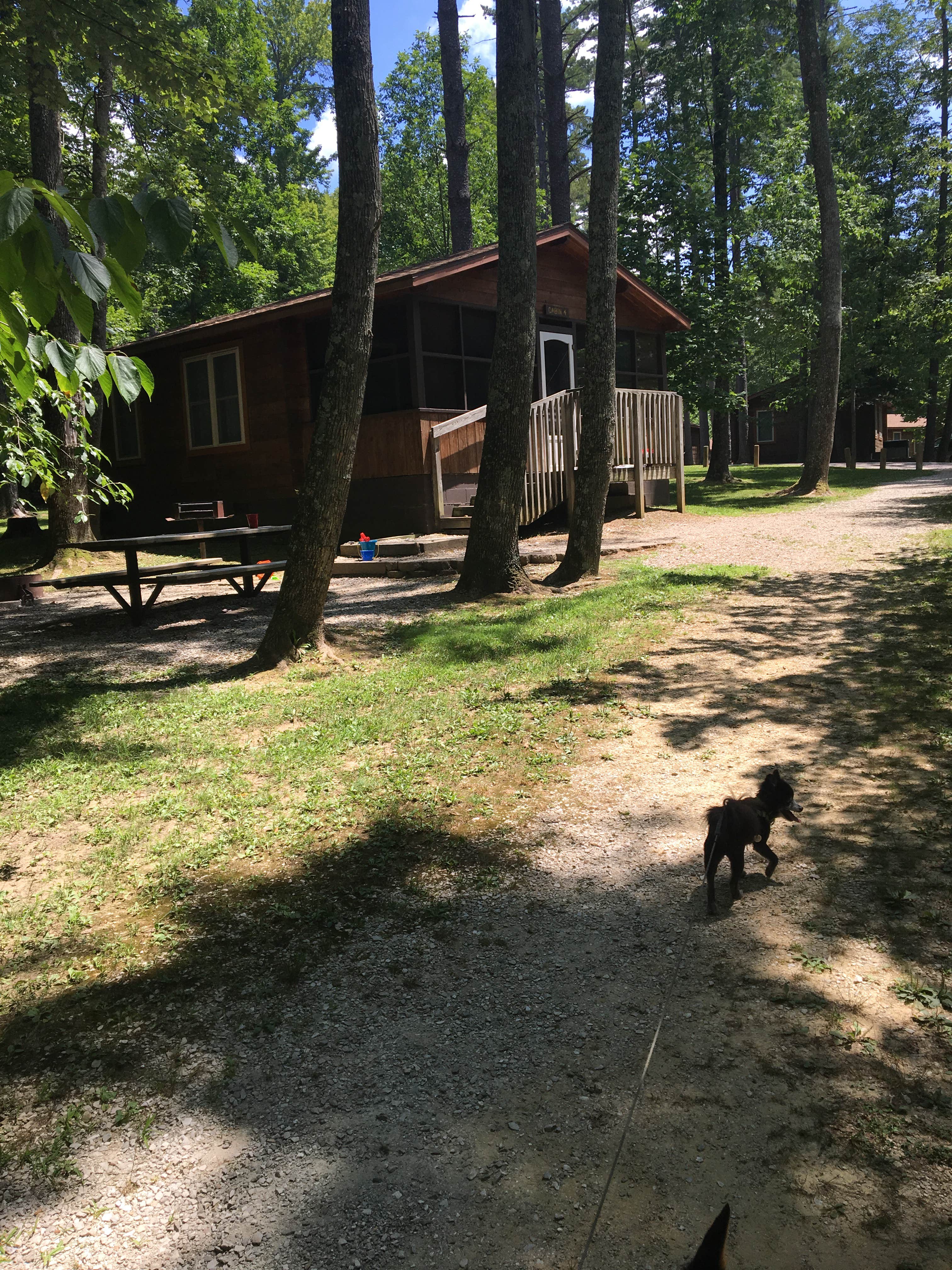 Shelly S.'s photo of a cabin at Lake Lincoln Campground — Lincoln State Park near Hoosier National Forest