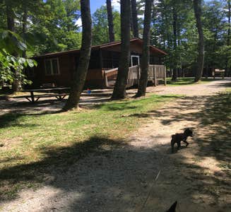 Camper-submitted photo from Camp Safe Haven by Earthbound Lodging 