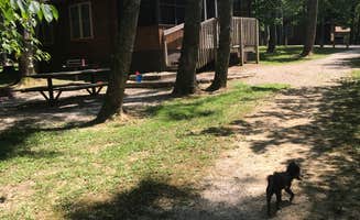 Shelly S.'s photo of a cabin at Lake Lincoln Campground — Lincoln State Park near Henderson, KY