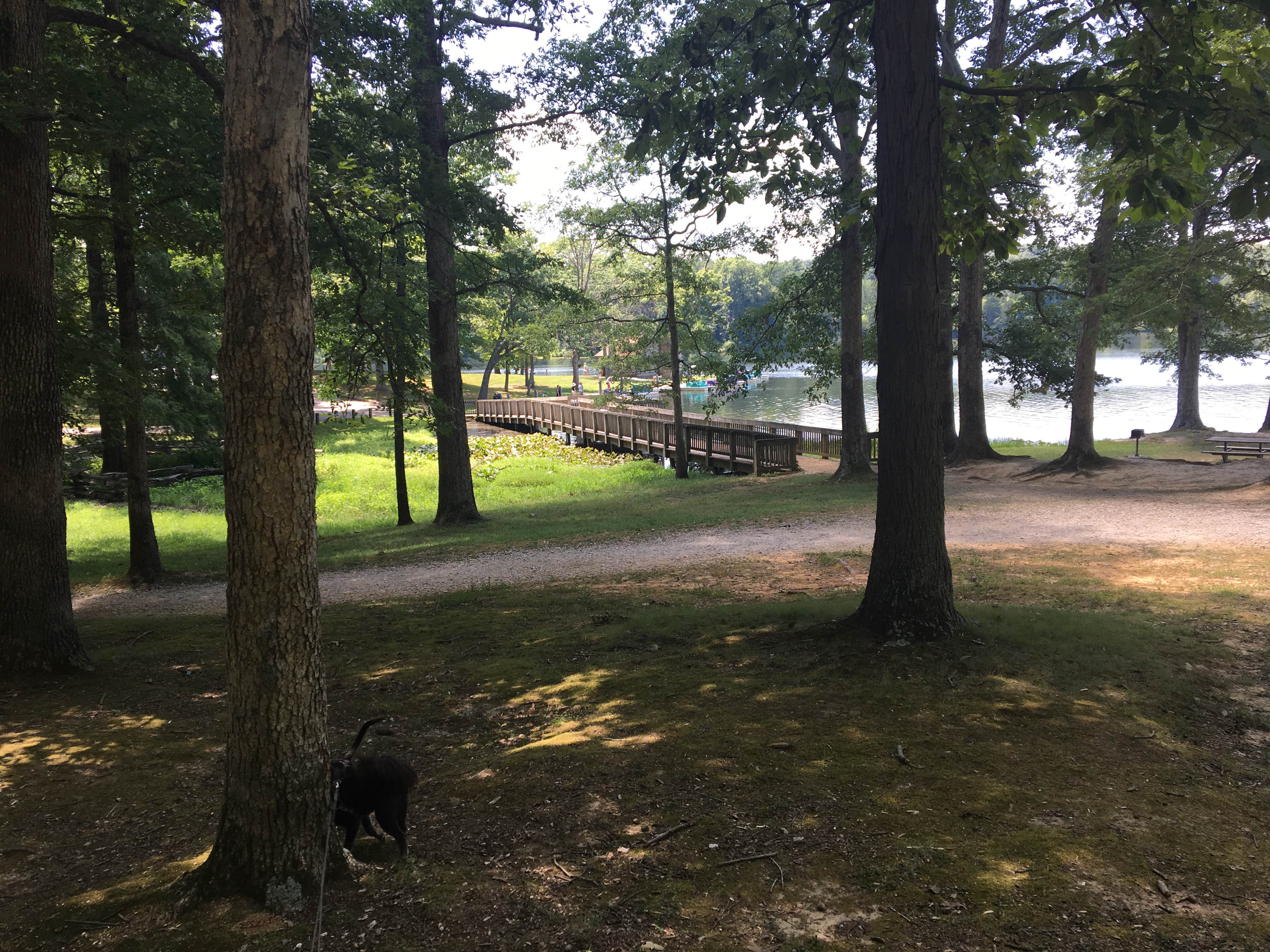 Camper submitted image from Lake Lincoln Campground — Lincoln State Park - 1