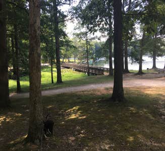 Camper-submitted photo from Lynnville Park
