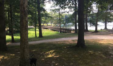 Lake Rudolph Campground RV Resort photo 5