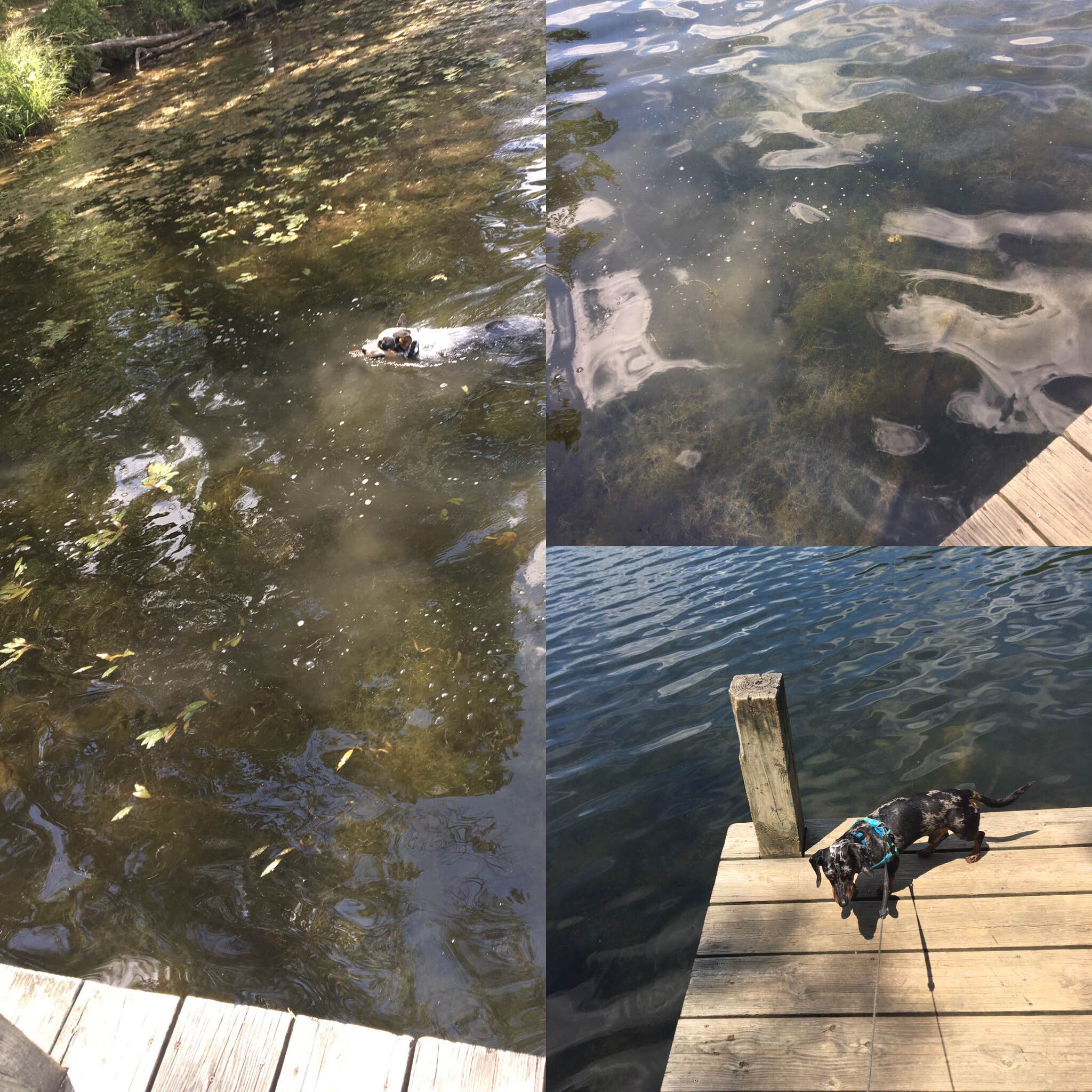 Camper-submitted photo at Lake Lincoln Campground — Lincoln State Park near Birdseye, IN