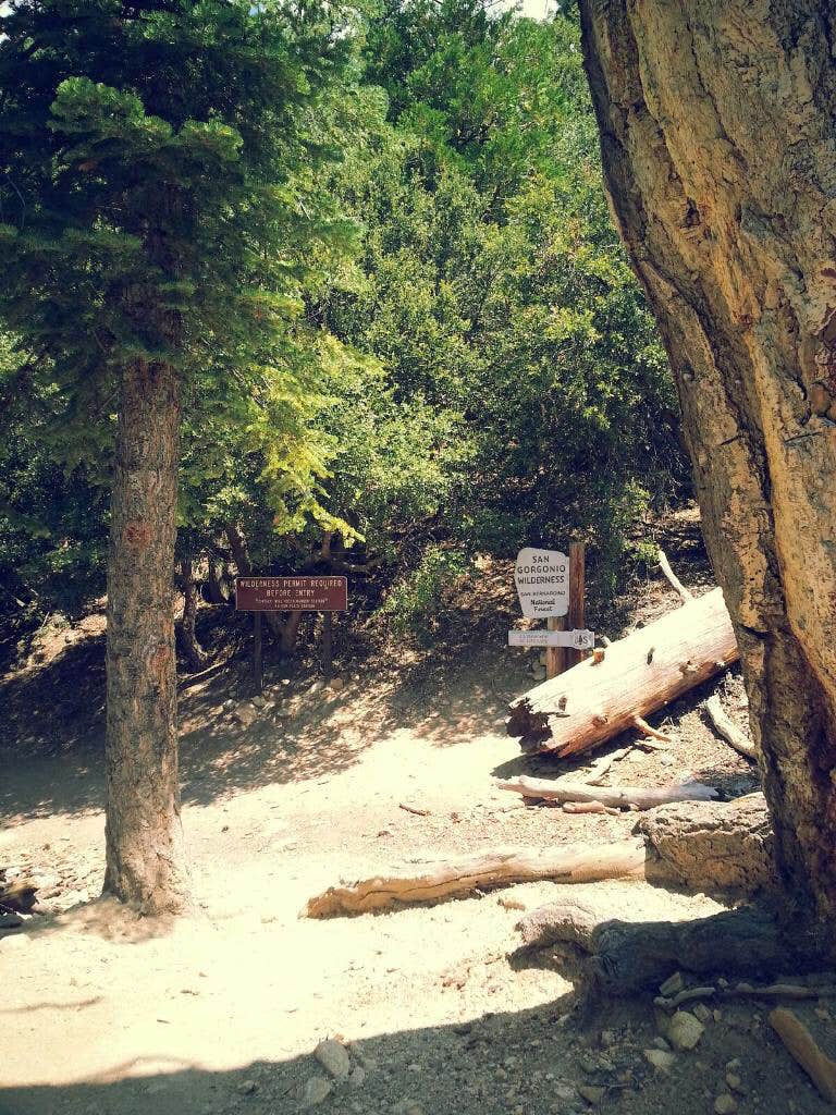 High creek shop camp san gorgonio