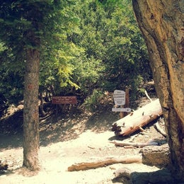 High Creek Camp - San Gorgonio Wilderness