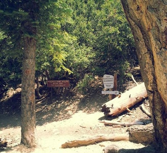 Camper-submitted photo from High Creek Camp - San Gorgonio Wilderness