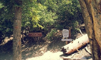 High Creek Camp - San Gorgonio Wilderness