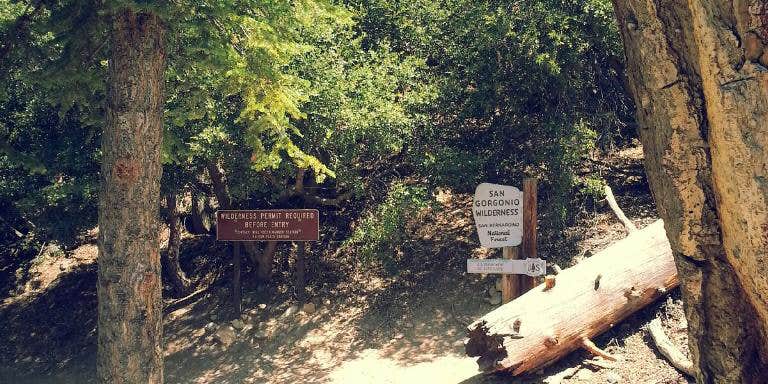 Camper submitted image from High Creek Camp - San Gorgonio Wilderness