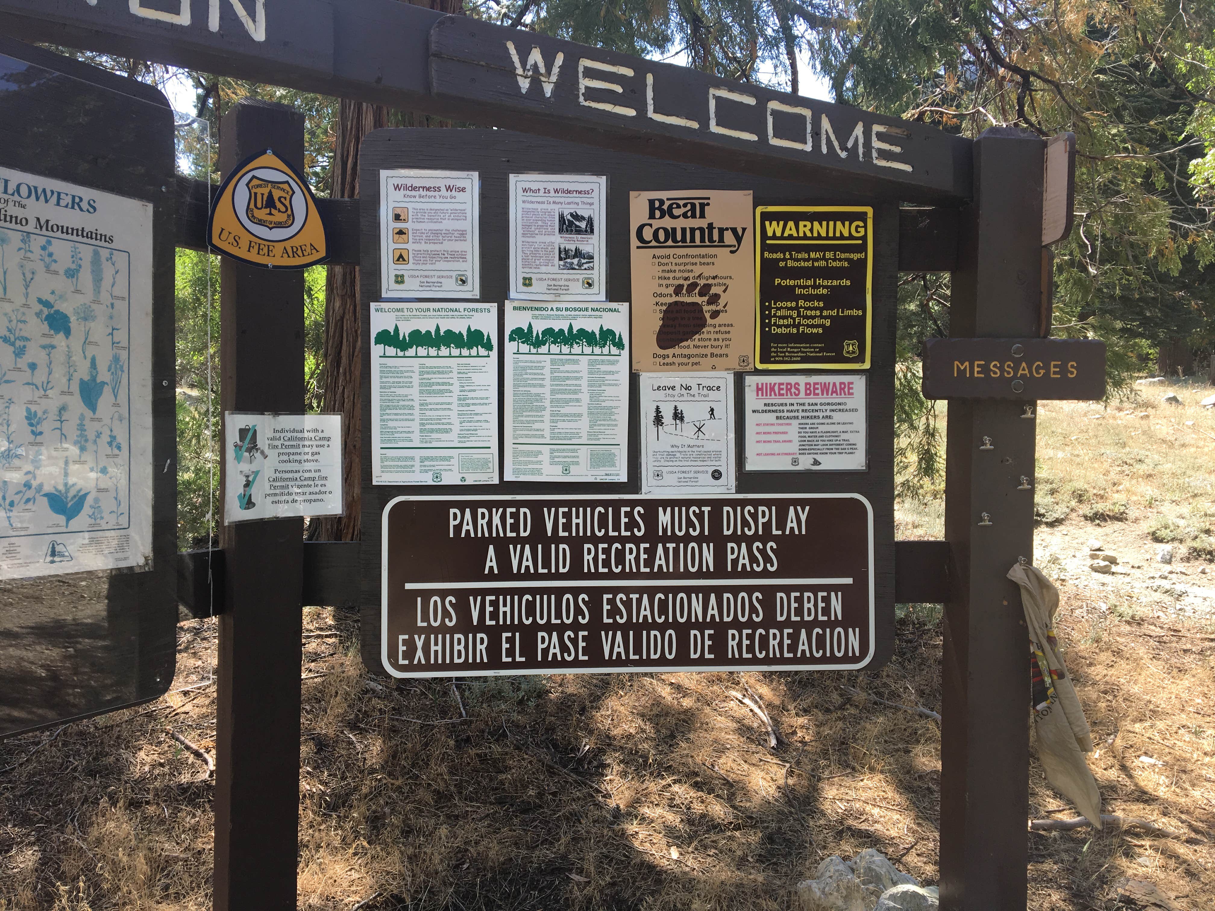 Vivian Creek Camp Camping Forest Falls CA The Dyrt
