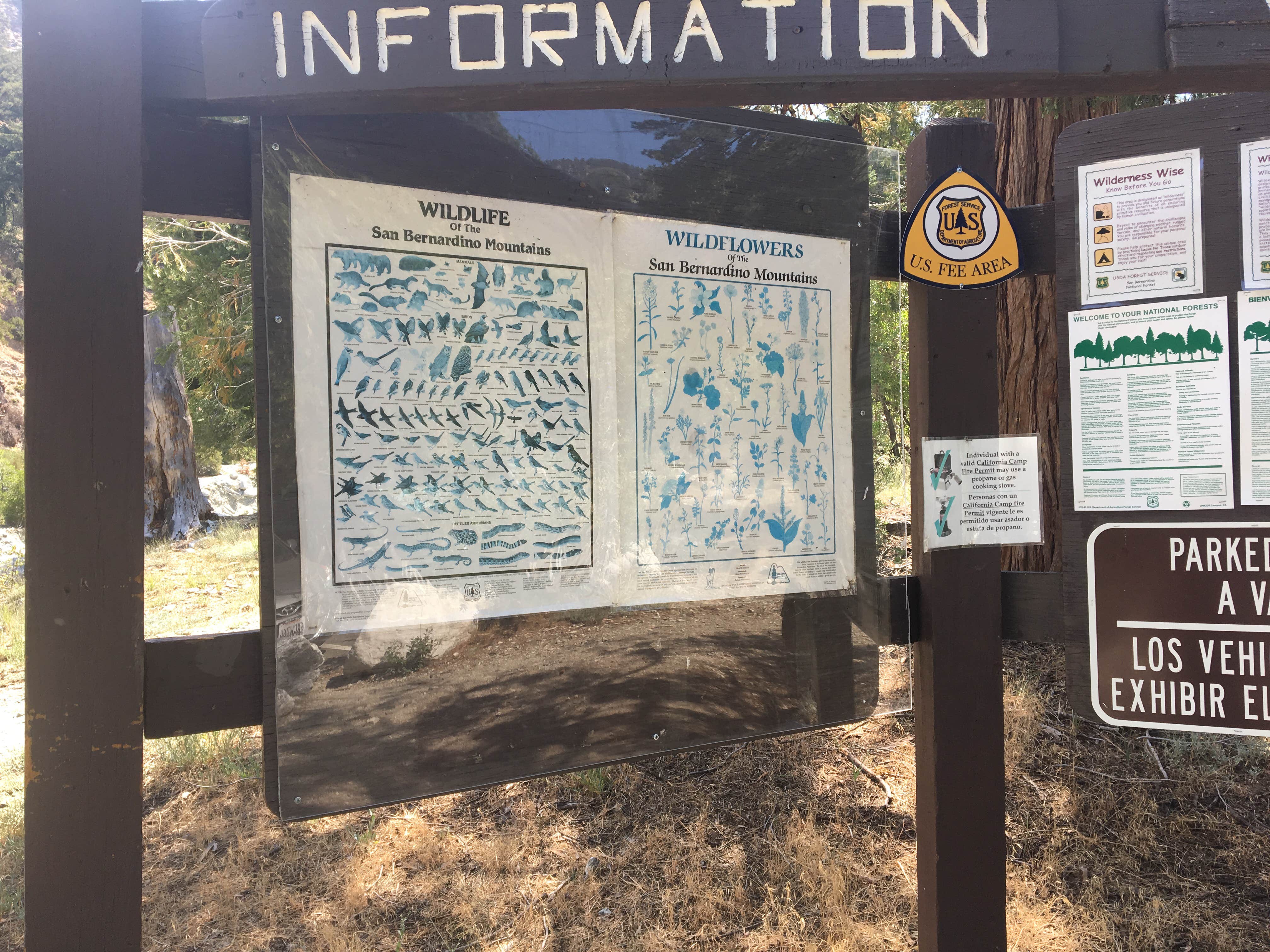 Vivian creek outlet campground