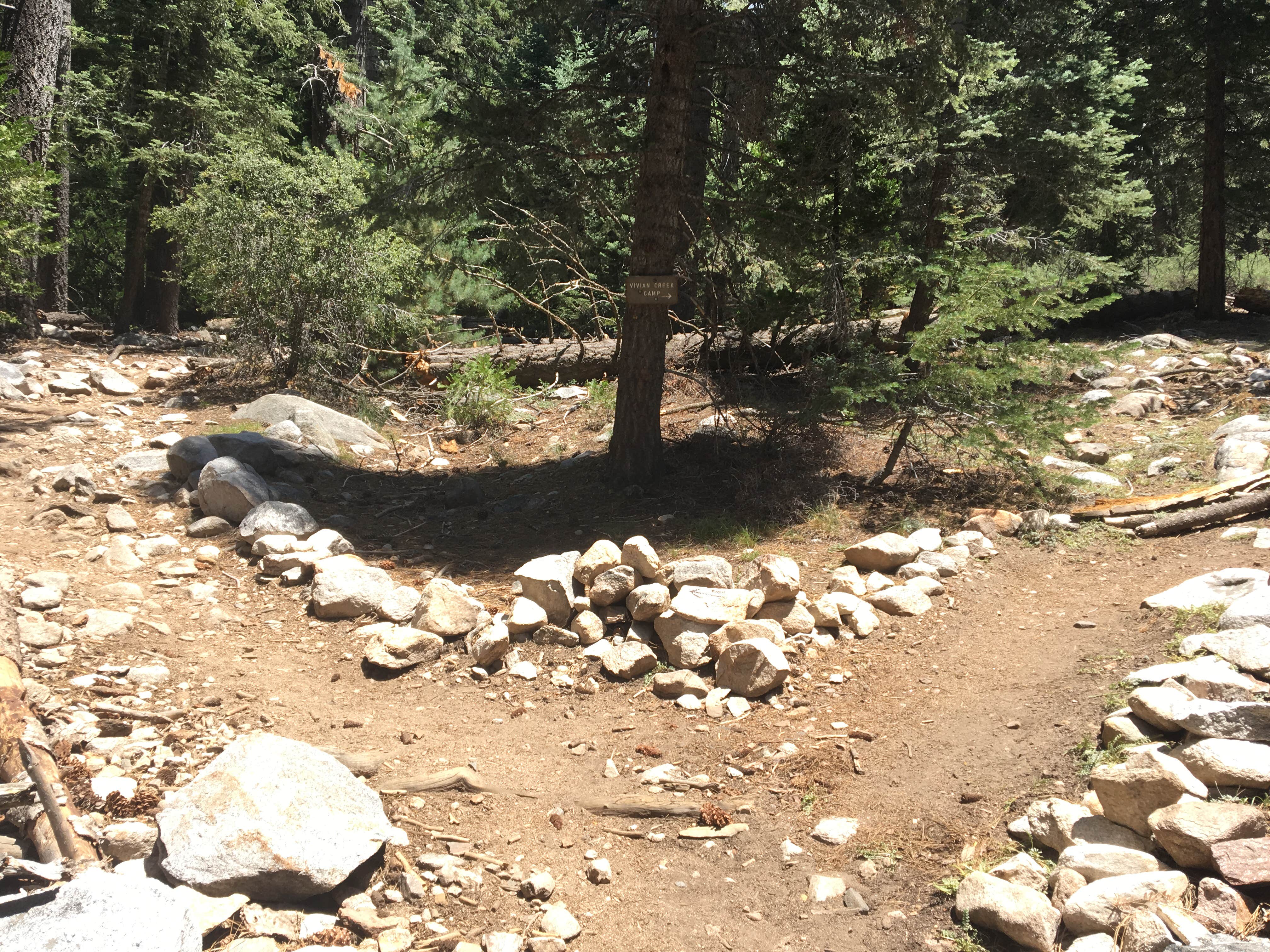 Vivian Creek Camp Camping Forest Falls CA The Dyrt