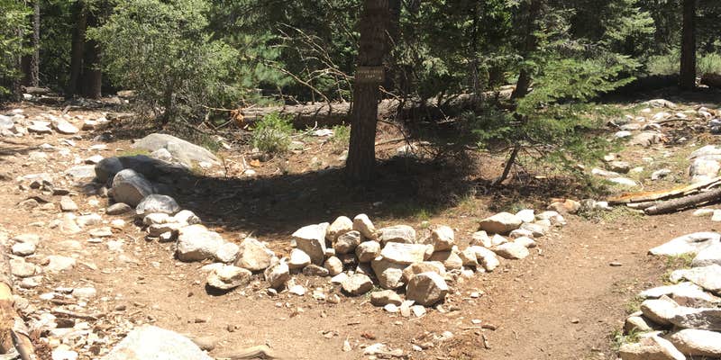 Camper submitted image from Vivian Creek Camp