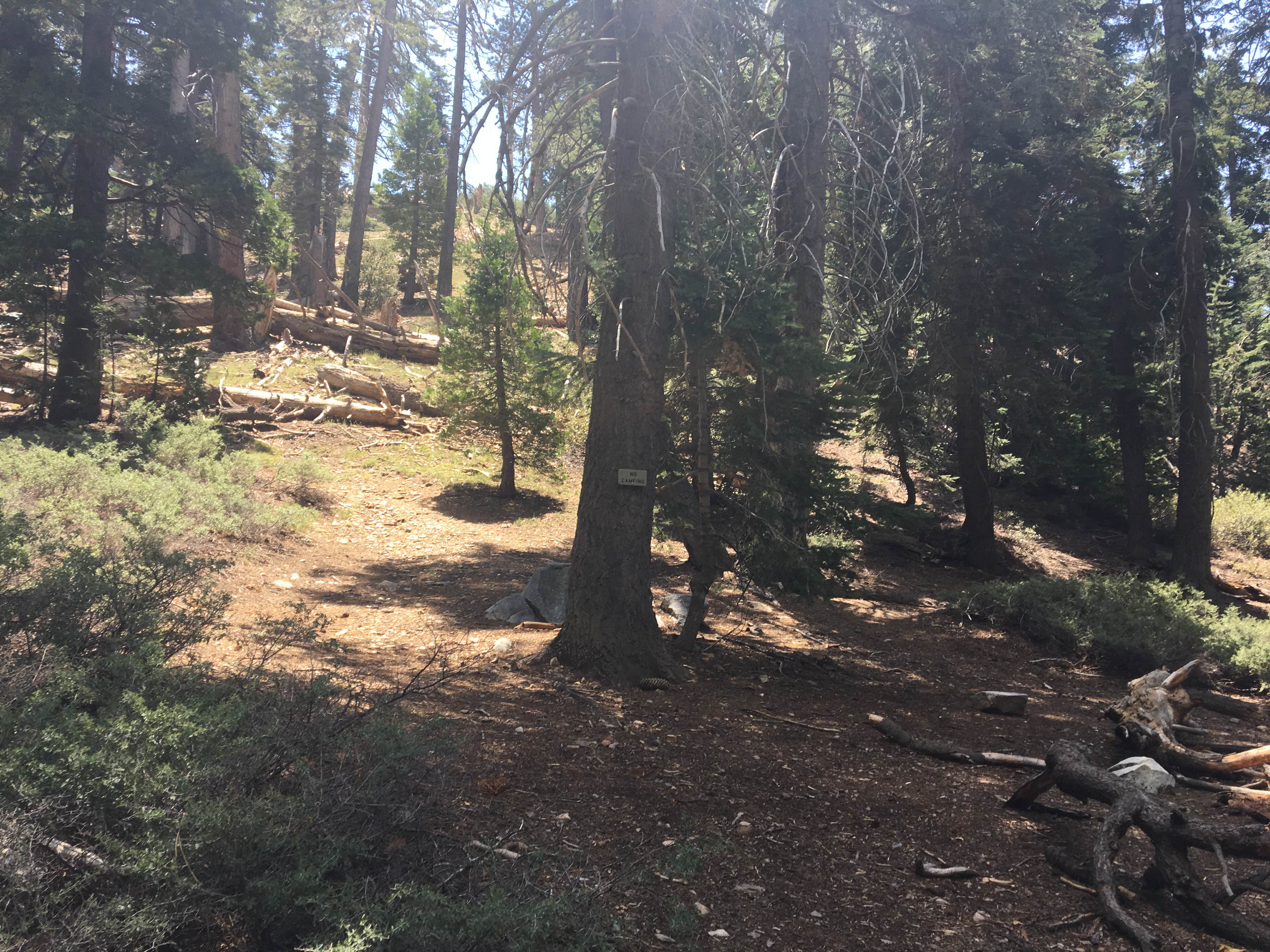 Vivian best sale creek campground
