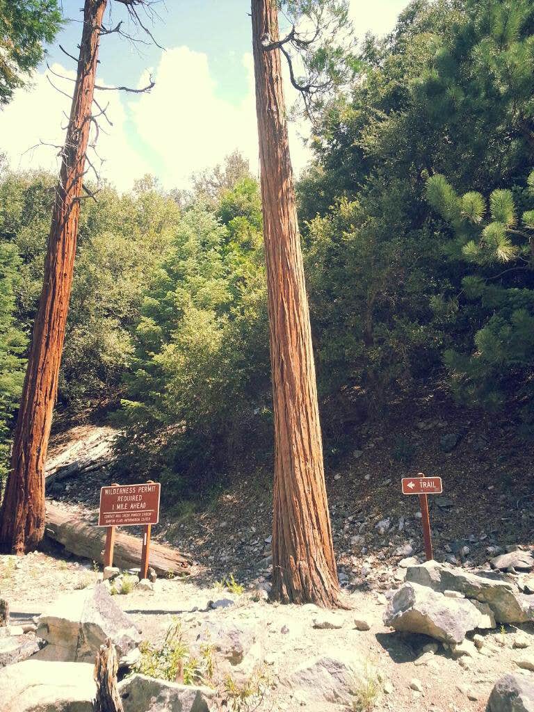 Vivian creek campground sale