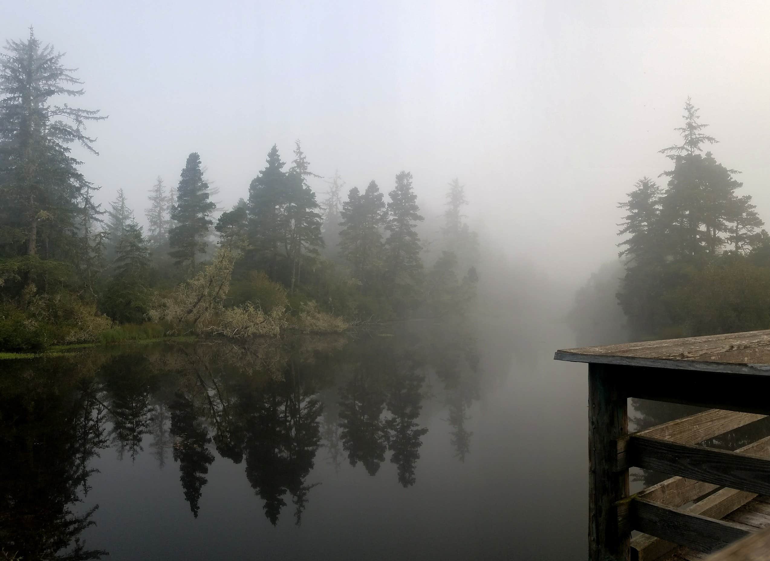 Camper submitted image from Lagoon Campground - 5