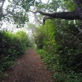Review photo of Lagoon Campground by Tj B., July 18, 2017